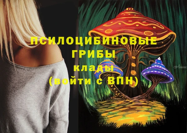 прущие крисы Алзамай