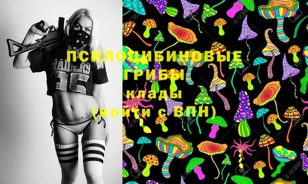 винт Алексеевка