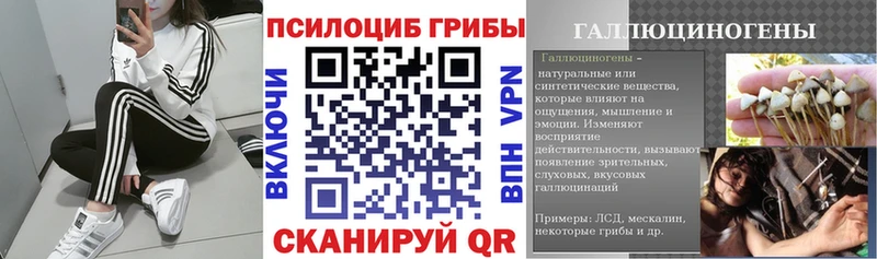 Псилоцибиновые грибы MAGIC MUSHROOMS  купить наркотик  Починок 